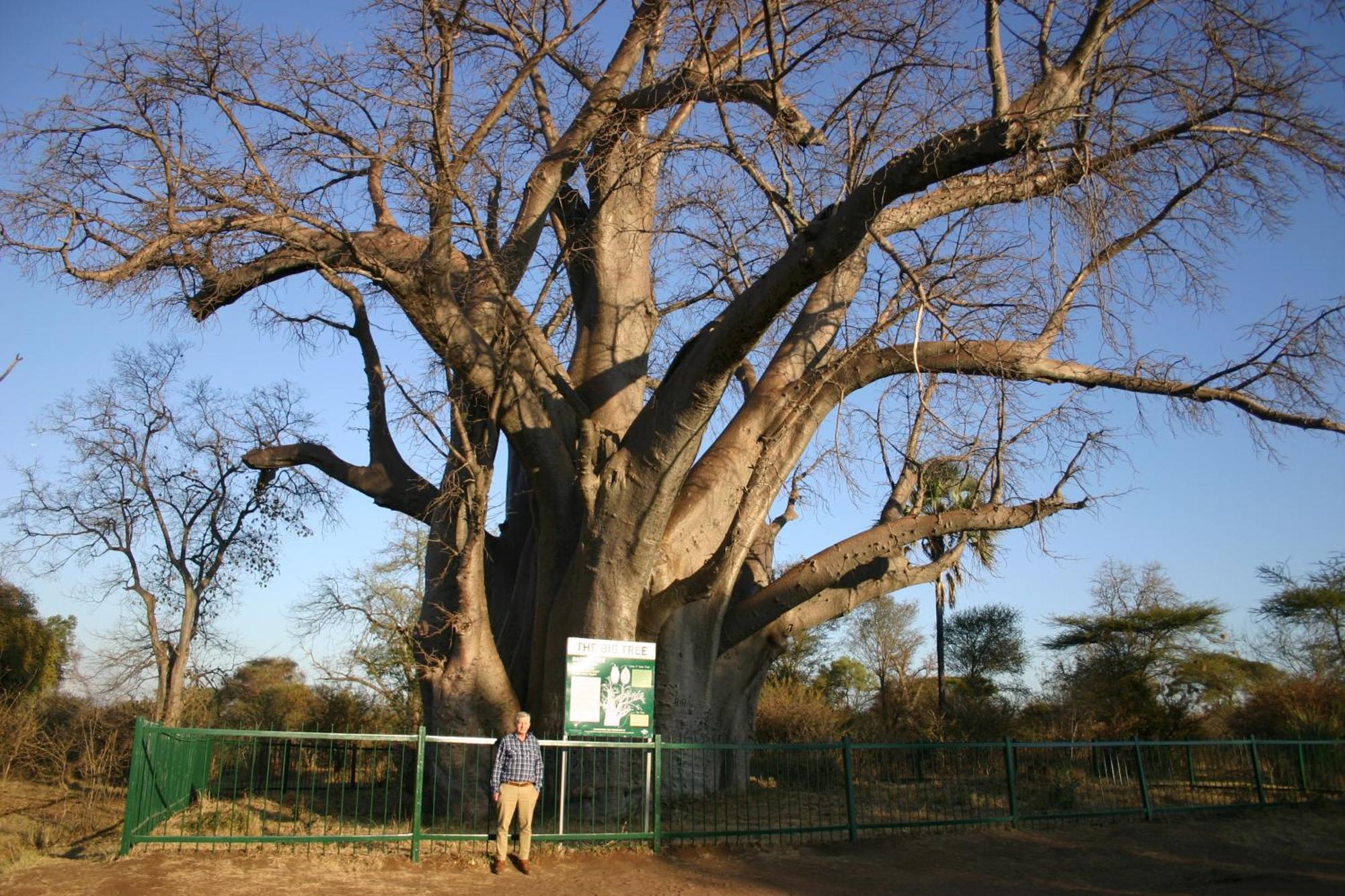 מפלי ויקטוריה Room In Villa - Zambezi Family Lodge - Elephant Room מראה חיצוני תמונה